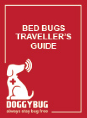 PDF download