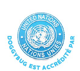 certificat nation unis