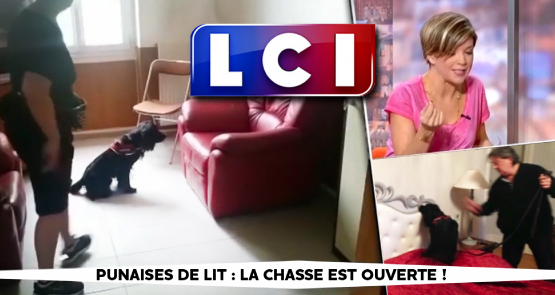 LCI