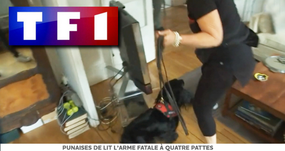 TF1